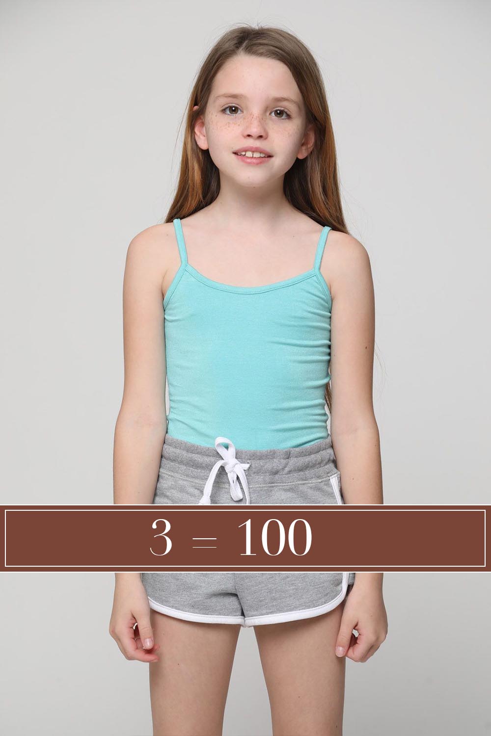 ������ ����� ����� ���� *100 = 3*